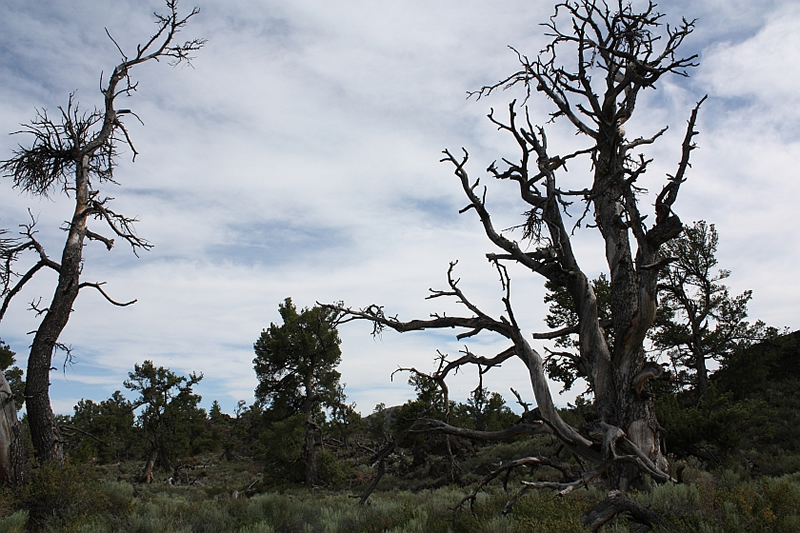 Craters of the Moon